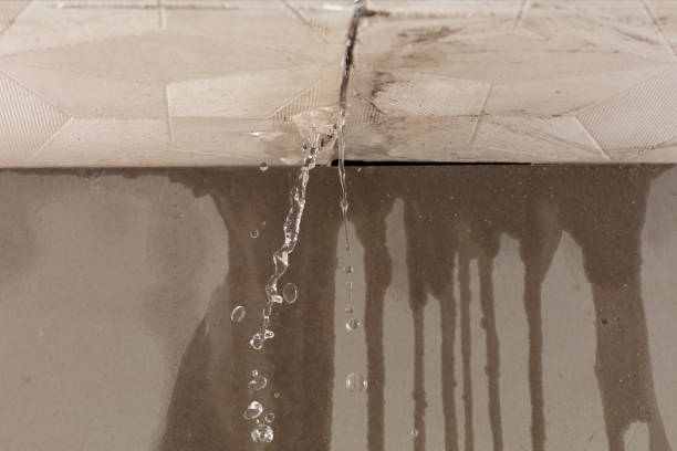 Professional Burst Pipe Cleanup technician working in Forreston, TX